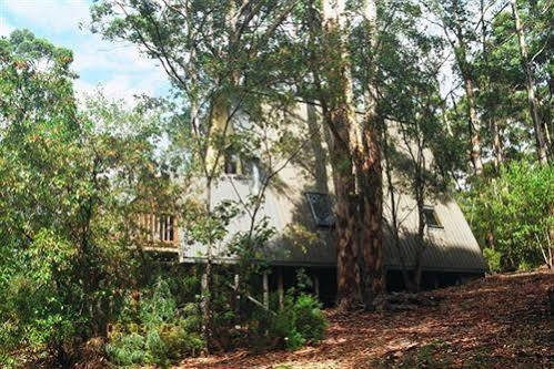 Green Leaves Cabin Денмарк Екстериор снимка